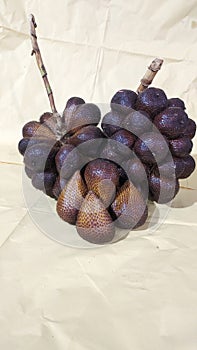Salak pondo / snakefruit photo