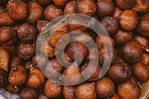 Salak or snake fruit, Bali photo