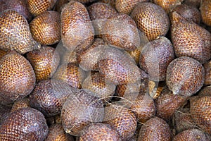 Salak or snake fruit in Sulis