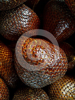 Salak or snakefruit