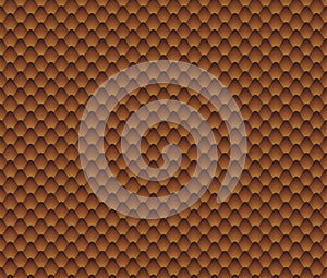 Salak or Zallaca seamless pattern,  illustration design