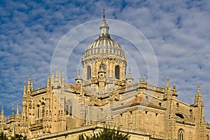 Salamanca cathedral photo