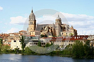 Salamanca cathedral photo