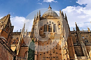 Salamanca, Spain, The beautiful Catedral Vieja de Santa Maria de la Sede de Salamanca (Old Cathedral) photo