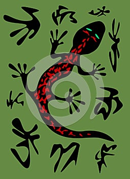 Salamander vector