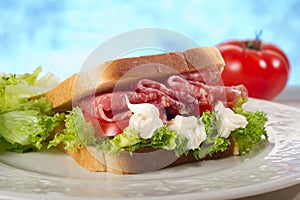 Salami sandwich
