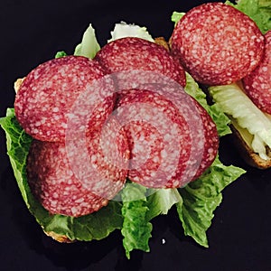 Salami sandwich