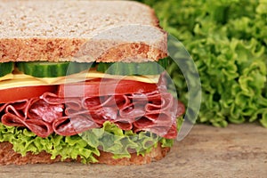 Salami sandwich with copyspace