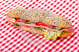 Salami Sub sandwich
