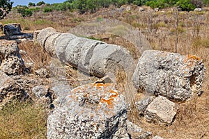 Salamis Ruins