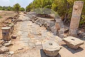 Salamis Ruins