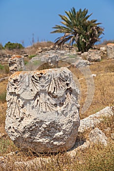 Salamis Ruins