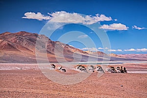 Salar Aguas Calientes, desert Atacama