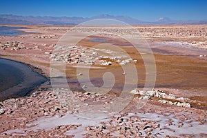 Salar de Atacama, Chile photo