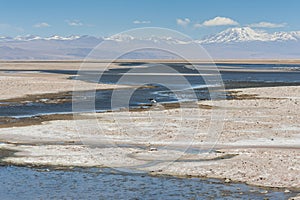 Salar de Atacama, the largest salt flat in Chile Desert of the Atacama, Chile