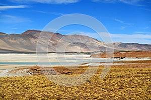 Salar de Talar, Part of a Series of High Plateau Salt Lakes at the Altitude of 3,950 M. of Northern Chilean Andes, Chile photo
