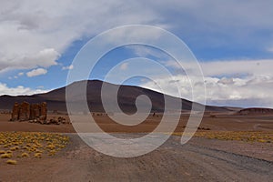 Salar de Tara Los Flamencos national Reserve Chile South America