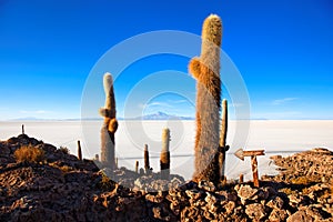 Salar de Uyuni, Bolivia