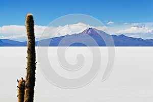 Salar de Uyuni in Bolivian Andes photo