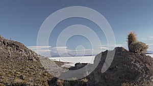 Salar de Uyuni salt lake around the isla pescado fish island