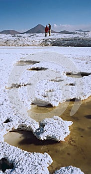 Salar de Uyuni Salt Plain photo