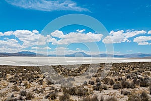 Salar on South America altiplano, Reserva Natural de Salinas y Aguada Blanca photo