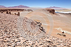 Salar the Tara, Chile