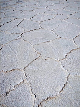 Salard in the andean landscape