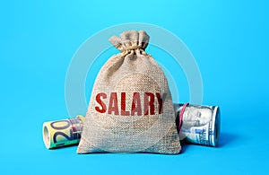 A Salary money bag. Remuneration and wages. Population income statistics, living standards and prosperity. Attractive lucrative photo