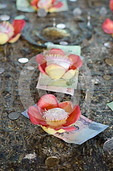 Salavan flower and Thai money at Buddhakaya Chedi