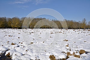 Salburua park in winter, Vitoria (Spain)