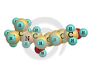 Salbutamol molecule on white photo