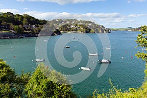 Salcombe Devon England UK view of the Kingsbridge Estuary popular for sailing and yachting