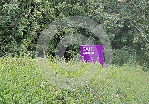 Sale Agreed sign on a house