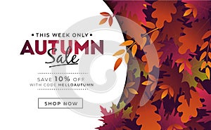 Sale banner with foliage for autumn promotions