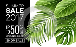 Sale banner, poster with palm leaves, jungle leaf and handwriting lettering. Floral tropical summer background. Vector