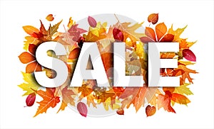 Sale banner on white background with bright autumn foliage. Leaves of maple, oak, sycamore and chestnut