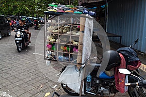 Sale of chicks at Sukawati