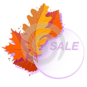 Sale circle banner with bright autumn leaves. Discount offer with falled red maple, orange oak, yellow rowan foliage on white