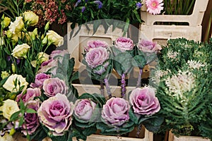 Sale of flowers called Decorative cabbage in the foreground. Other different flowers are next to the background.