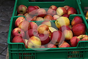 Sale of fresh apples