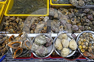 Jagalchi Market in Busan, South Korea