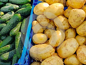 Sale of organic food products at the farmer's market. Fresh potatoes and cucumbers on the counter close-up