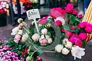 Sale of peonies in the flower market in Europe