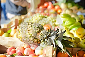 Sale, shopping, consumerism and pineapple in grocery market