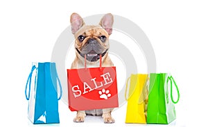 Sale shopping dog