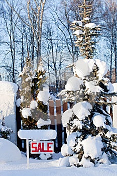 Sale sign in winter with snow