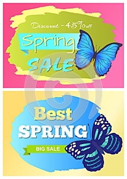 Sale Spring Discount Labels Set Butterfies Dots