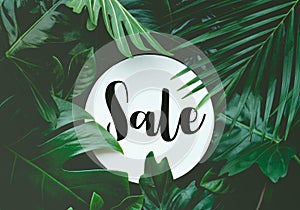 Sale text with real leaves tropical jungle background.