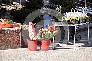 Sale of tulips on the street on March 8 in Ukraine
